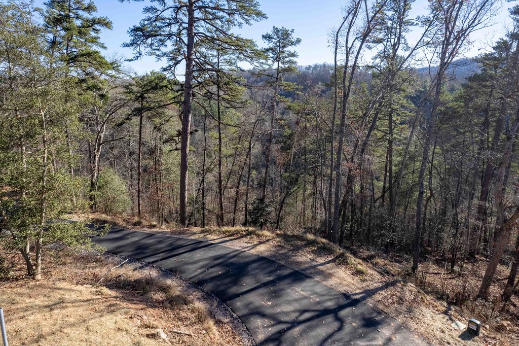 Lot 2 Osprey Mountain Way