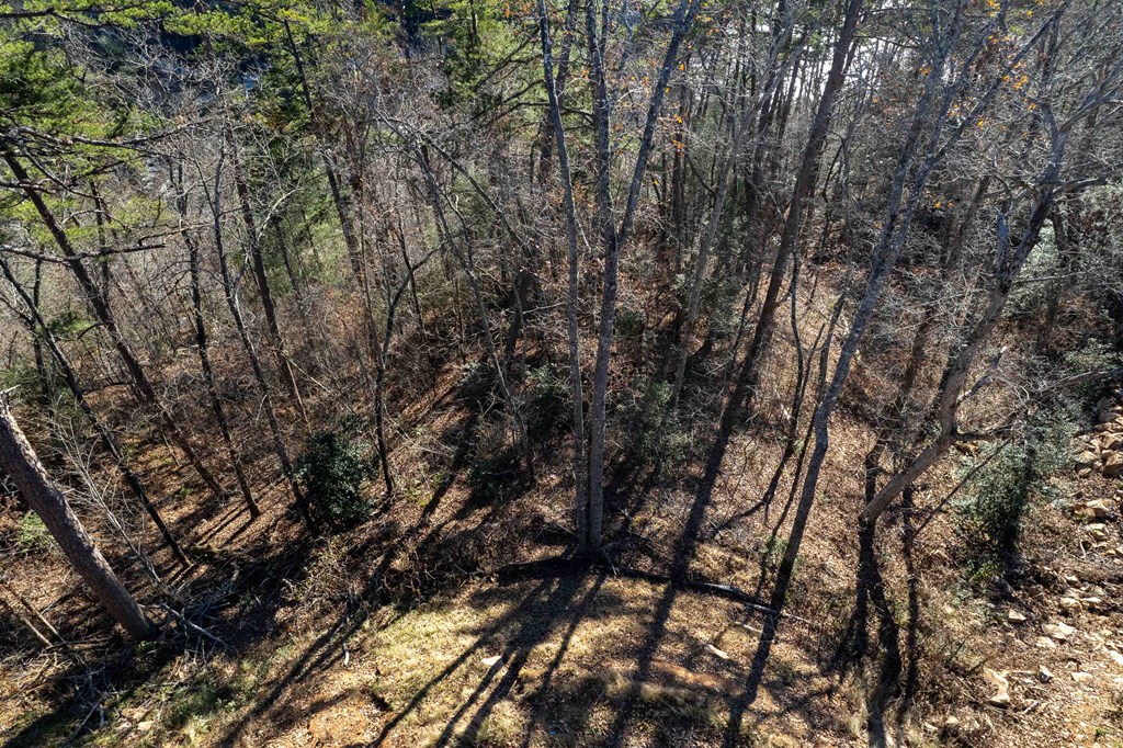 Lot 2 Osprey Mountain Way