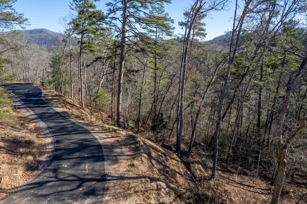 Lot 2 Osprey Mountain Way