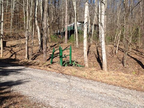 Photo of 91 Morgan Branch Drive, Hayesville, NC 28904 (MLS # 26045369)