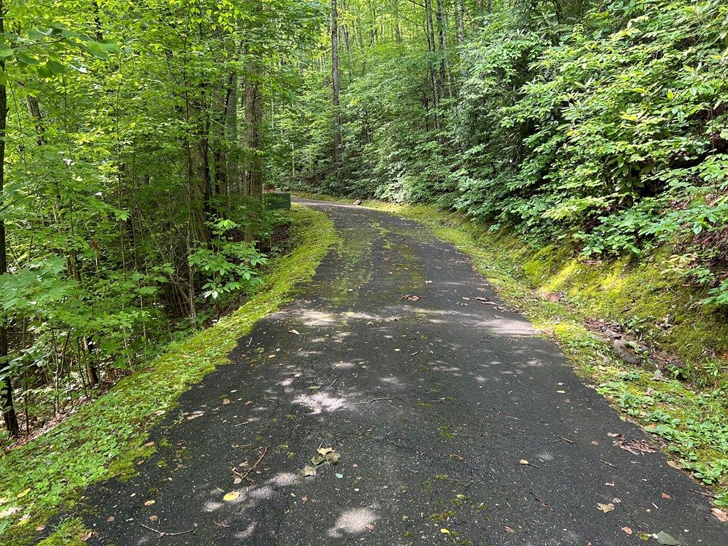 Photo of Lot 50 Grand View Estates, Whittier, NC 28789 (MLS # 26041785)