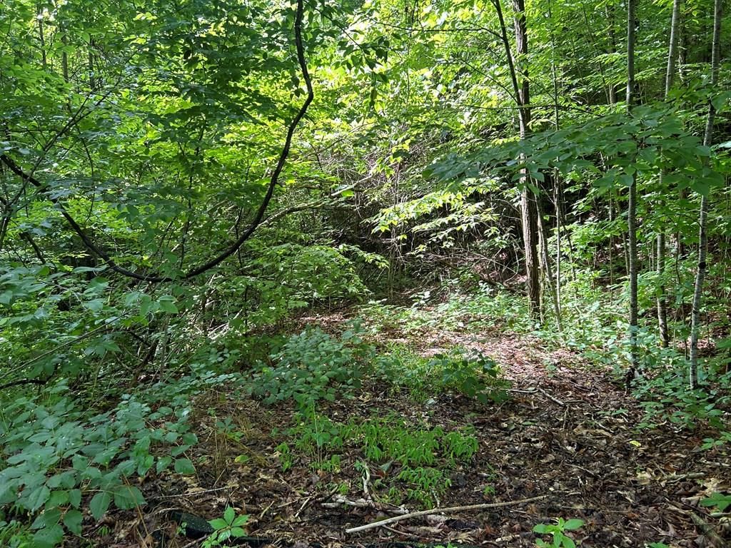 Photo of Lot 50 Grand View Estates, Whittier, NC 28789 (MLS # 26041785)
