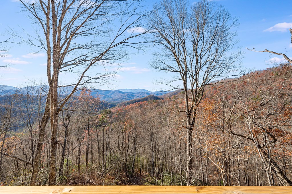 Bryson City, North Carolina 28713, United States, 4 Bedrooms Bedrooms, ,3 BathroomsBathrooms,Residential,Active,30838