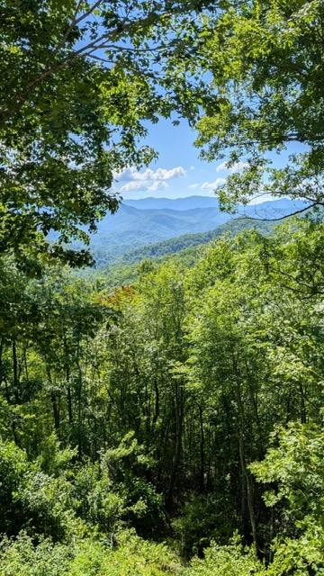 Bryson City, North Carolina 28713, United States, 4 Bedrooms Bedrooms, ,3 BathroomsBathrooms,Residential,Active,30838