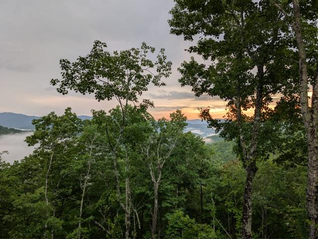 Bryson City, North Carolina 28713, United States, 4 Bedrooms Bedrooms, ,3 BathroomsBathrooms,Residential,Active,30838