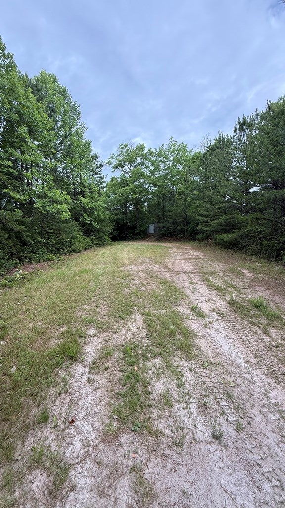 Photo of 65 Hummingbird Hill, Bryson City, NC 28713 (MLS # 26047497)