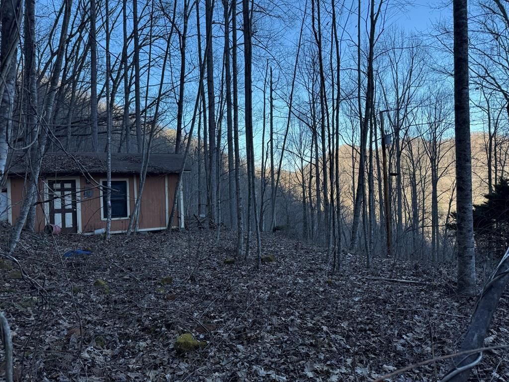 Photo of 65 Savannah View Lane, Sylva, NC 28779 (MLS # 26045329)