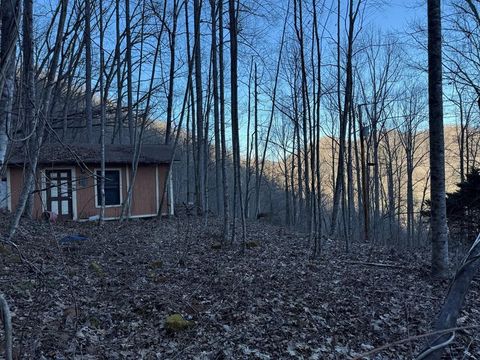 Photo of 65 Savannah View Lane, Sylva, NC 28779 (MLS # 26045329)