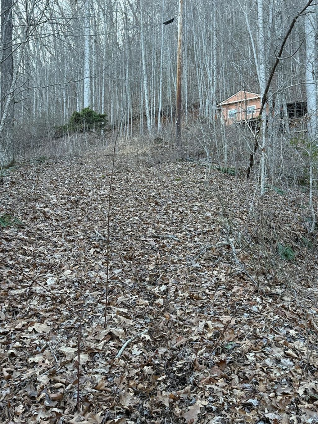 Photo of 65 Savannah View Lane, Sylva, NC 28779 (MLS # 26045329)