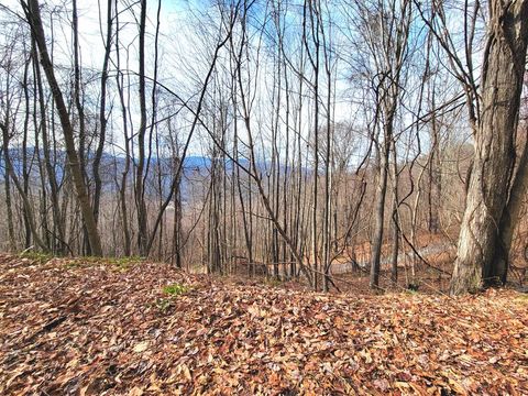 Photo of 75 Rimrock Rdg, Clyde, NC 28721 (MLS # 26043187)