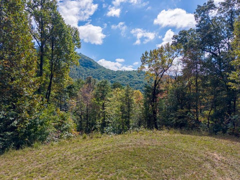 Photo of Lot 10 Berry Cove Rd, Franklin, NC 28734 (MLS # 26048073)