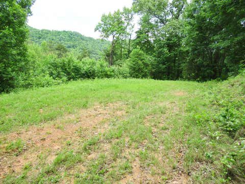 Photo of Lot 10 Berry Cove Rd, Franklin, NC 28734 (MLS # 26048073)