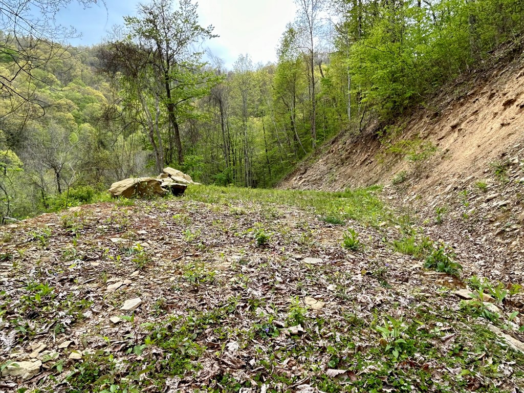 Lot 61 Huckleberry Walk