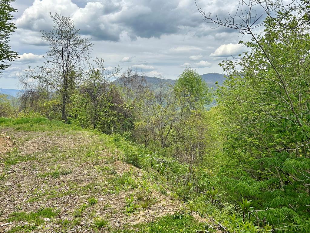 Lot 61 Huckleberry Walk