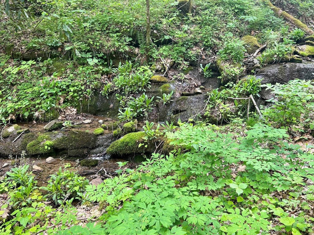 Lot 61 Huckleberry Walk