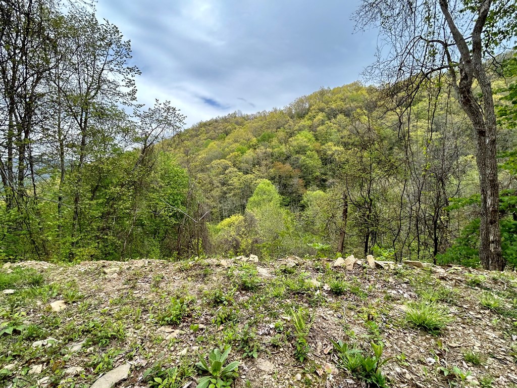 Lot 61 Huckleberry Walk