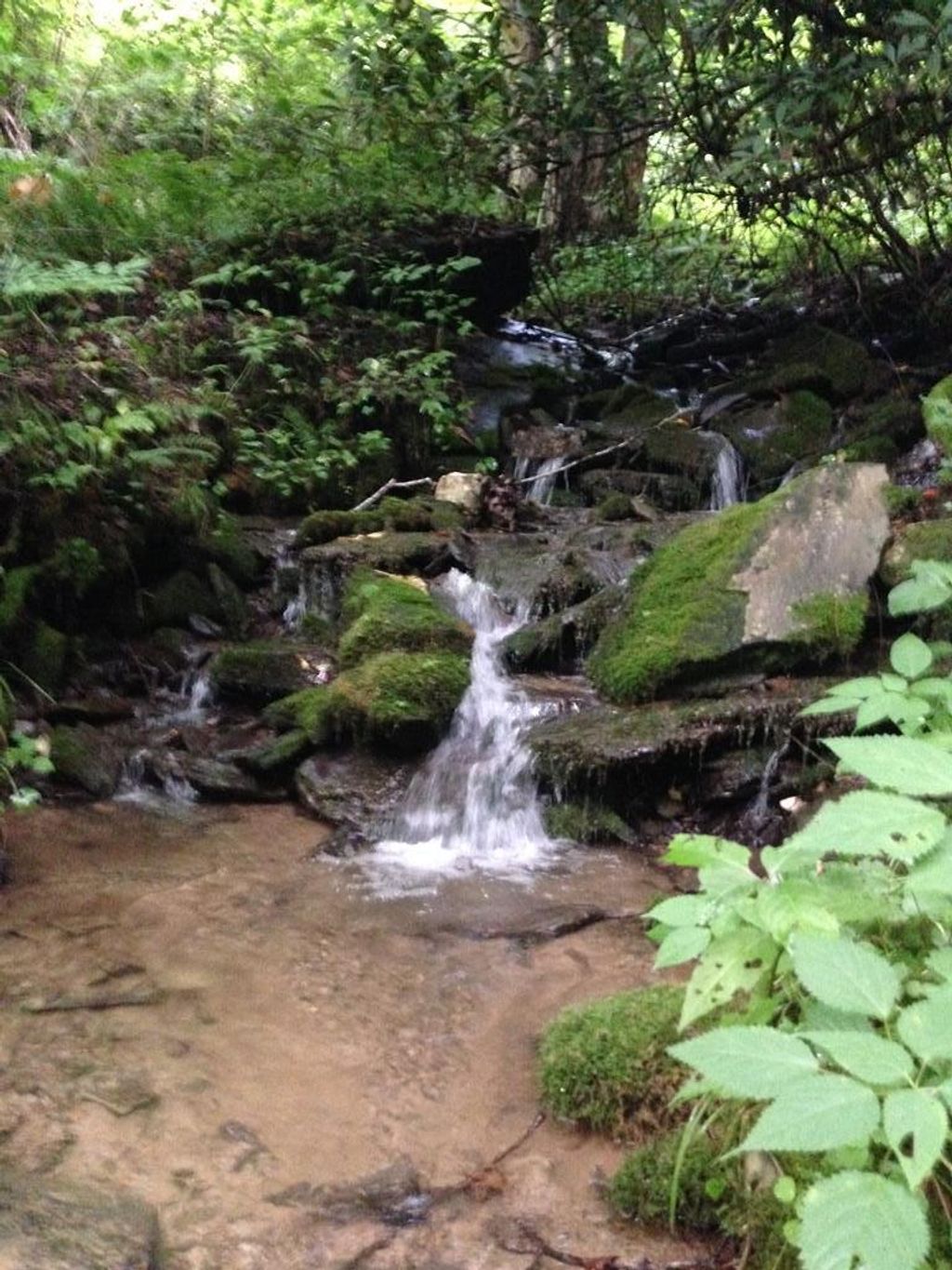 Photo of Lot 61 Huckleberry Walk, Bryson City, NC 28713 (MLS # 26047344)