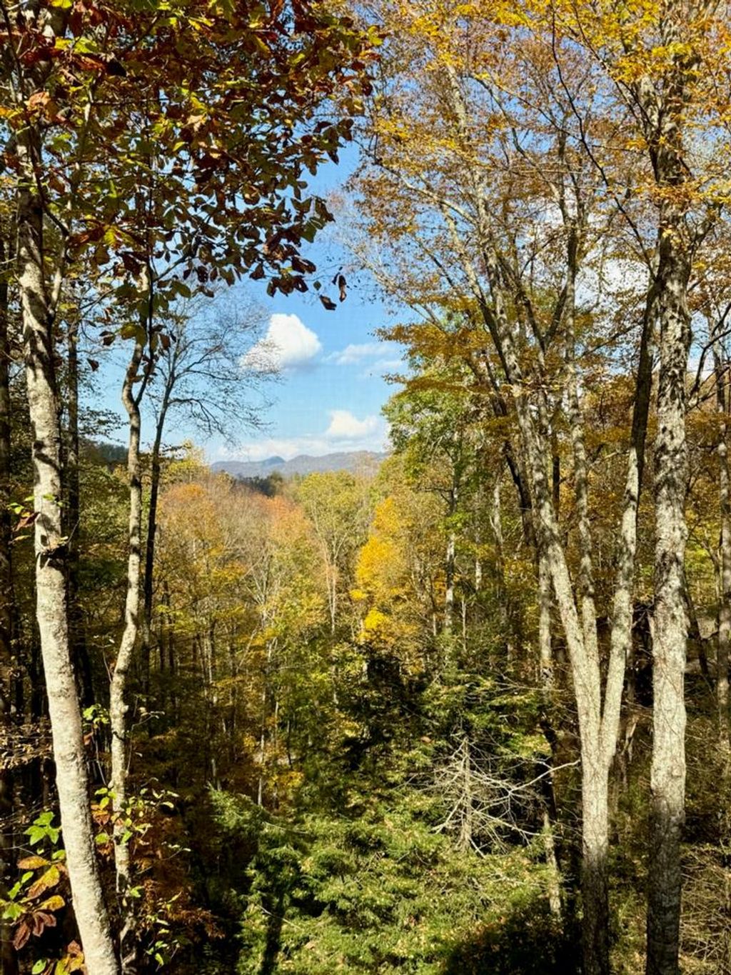 Photo of 126 Mossycup Court, Tuckasegee, NC 28783 (MLS # 26042701)