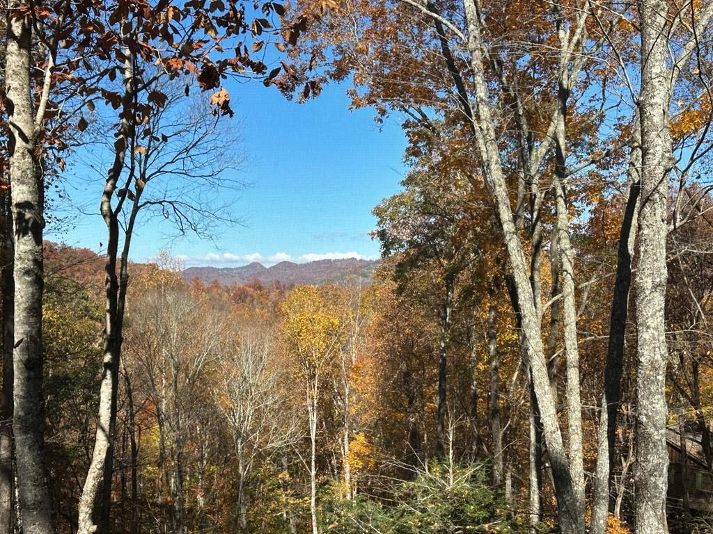 Photo of 126 Mossycup Court, Tuckasegee, NC 28783 (MLS # 26042701)