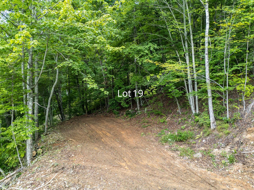 Lot 19 Oak Ridge Lane