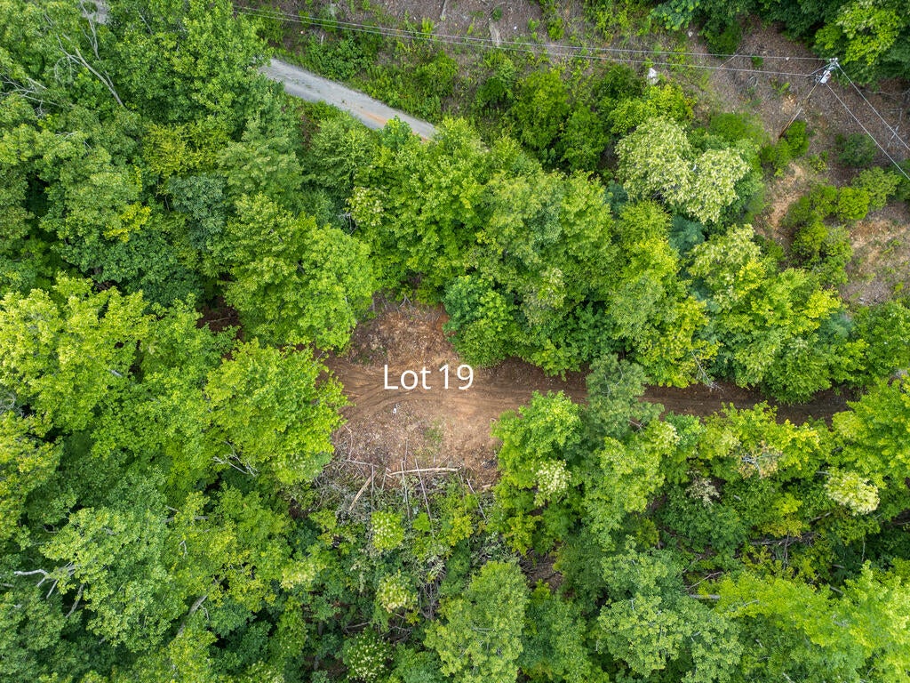 Lot 19 Oak Ridge Lane