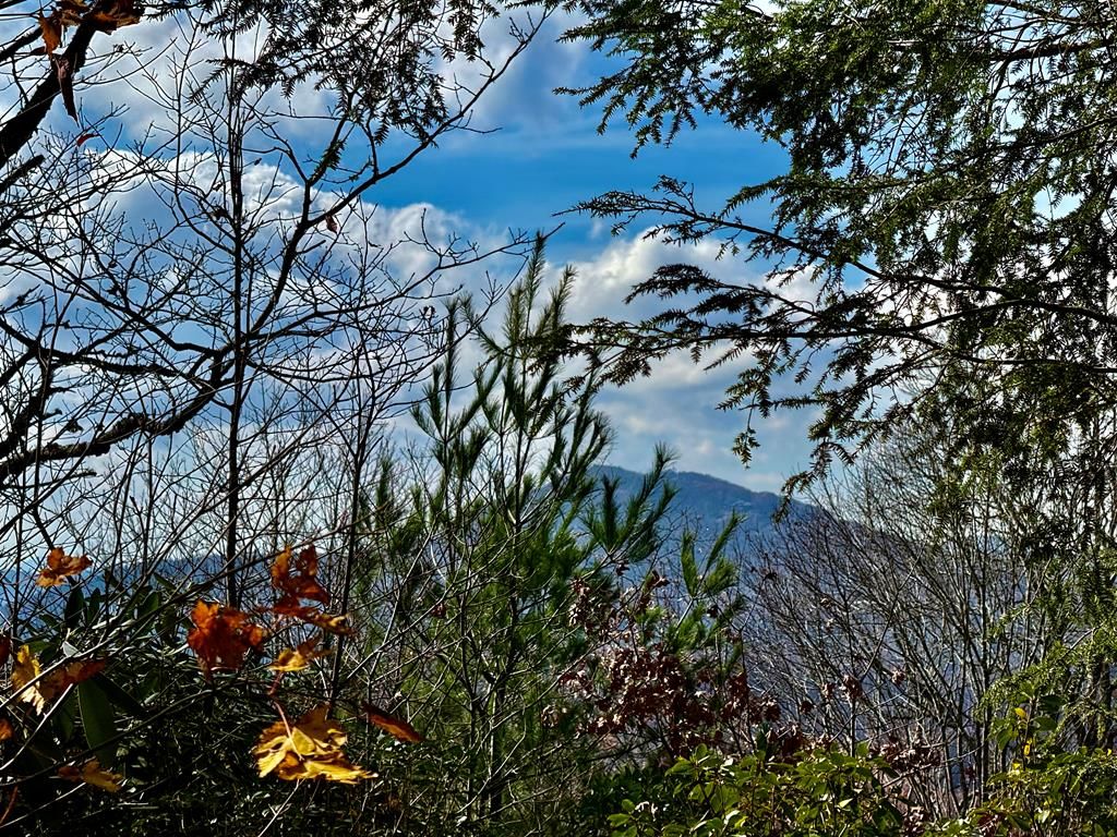 Photo of 0 Glenridge Rd, Glenville, NC 28736 (MLS # 26042615)