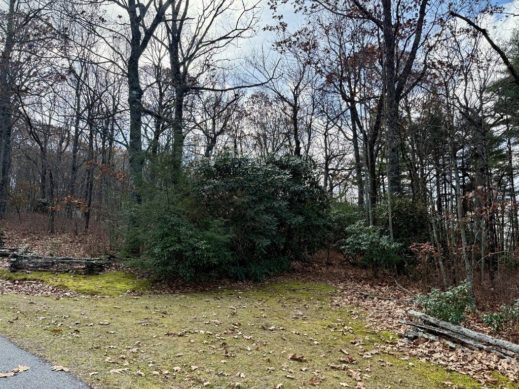 Photo of 0 Glenridge Rd, Glenville, NC 28736 (MLS # 26042615)