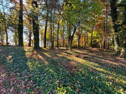 Photo of 0 Pauline Avenue, Franklin, NC 28734 (MLS # 26048398)
