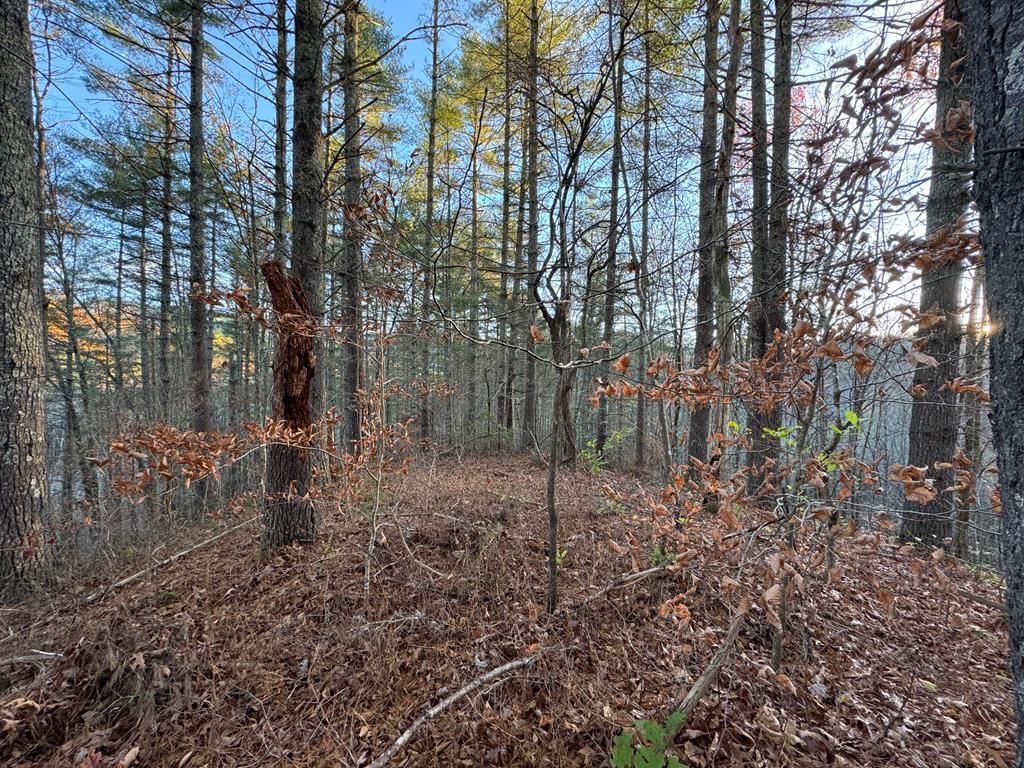 Photo of 00 Sky Ridge Dr, Bryson City, NC 28713 (MLS # 26039274)