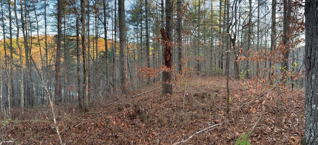 Photo of 00 Sky Ridge Dr, Bryson City, NC 28713 (MLS # 26039274)