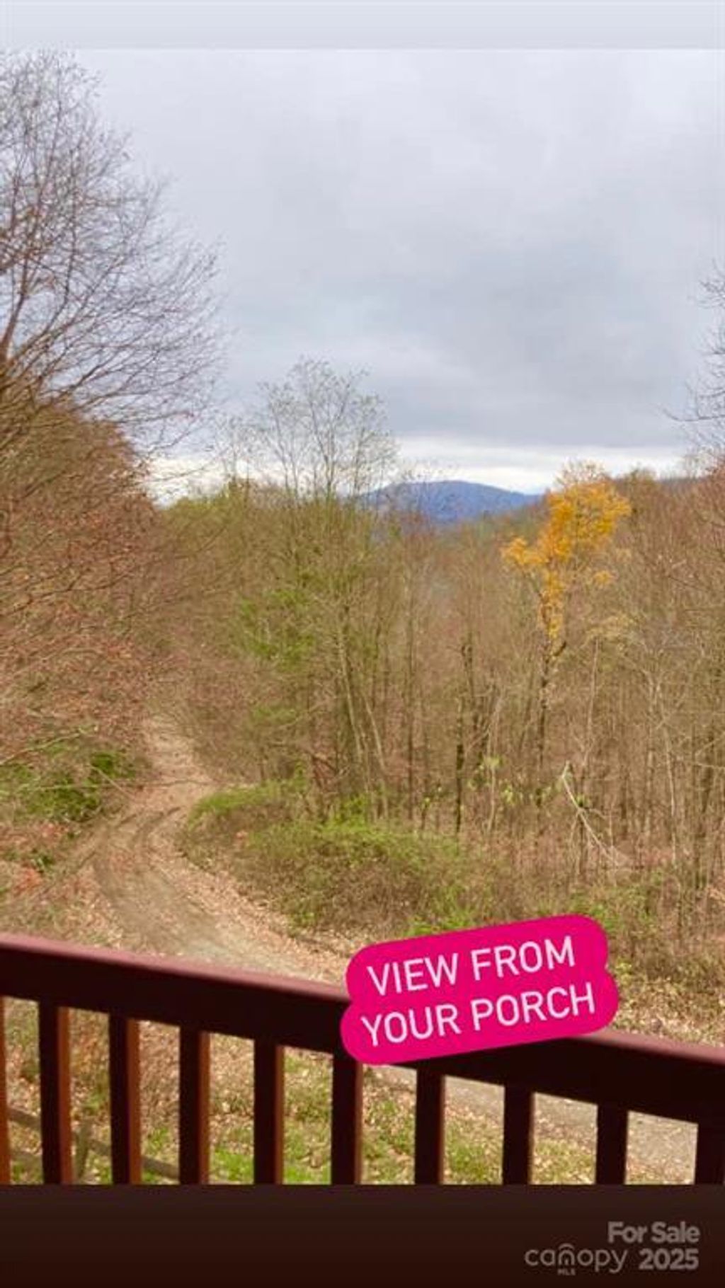 Photo of 361 Boundary Trail, Maggie Valley, NC 28751 (MLS # 26042318)