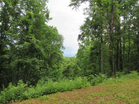 Photo of Lot 16 Berry Cove Rd, Franklin, NC 28734 (MLS # 26048074)