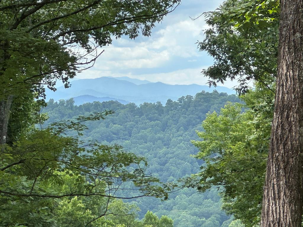 Lot 50 Falls View Dr