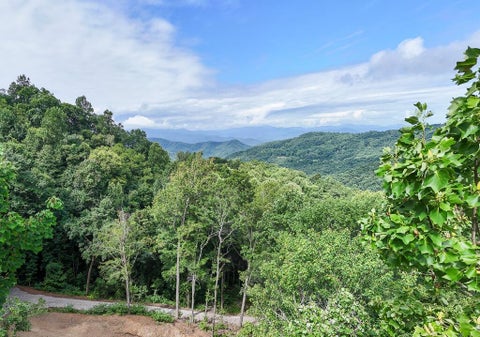 Photo of Lot 50 Falls View Dr, Bryson City, NC 28713 (MLS # 26047967)