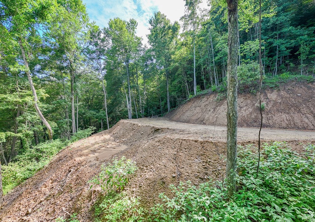 Lot 50 Falls View Dr