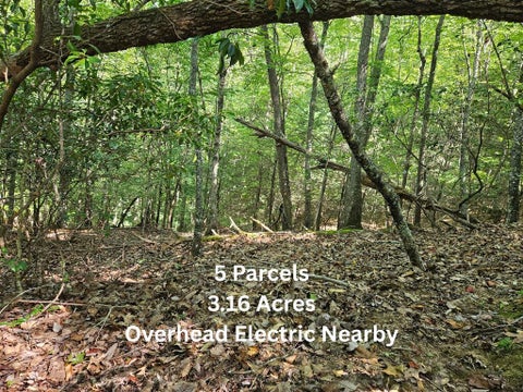 Photo of 00 Pioneer Village Road, Franklin, NC 28734 (MLS # 26048552)