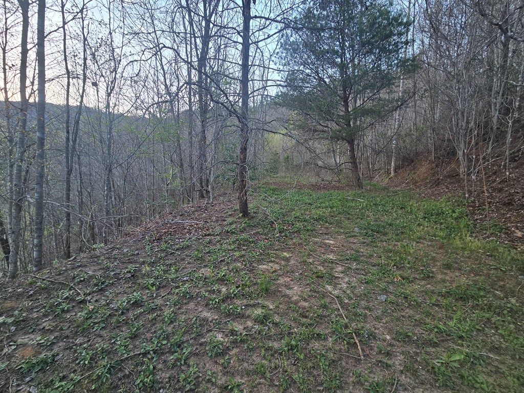 Photo of Lt 7 Tuts Terrace, Sylva, NC 28779 (MLS # 26040791)