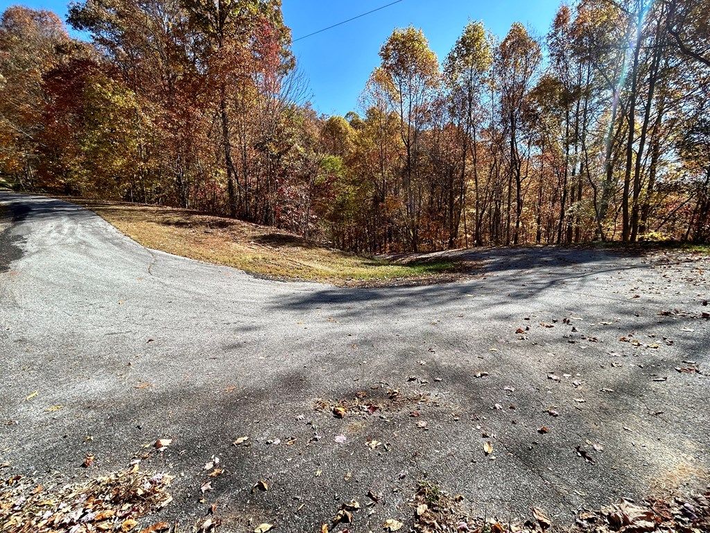 Photo of Lot 57 Grizzly Ridge, Bryson City, NC 28713 (MLS # 26045426)