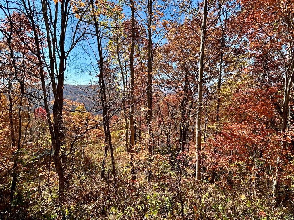 Photo of Lot 57 Grizzly Ridge, Bryson City, NC 28713 (MLS # 26045426)