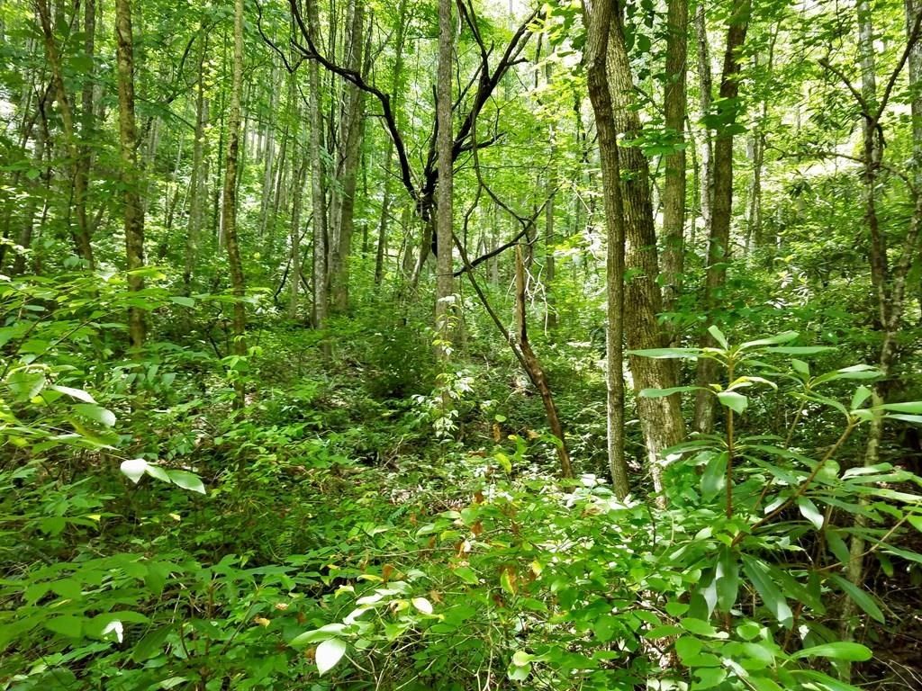 Photo of Lot 104 Mountain Vista, Bryson City, NC 28713 (MLS # 26037973)