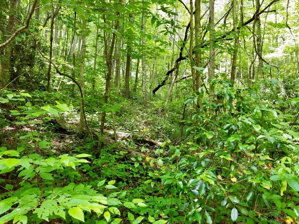 Photo of Lot 104 Mountain Vista, Bryson City, NC 28713 (MLS # 26037973)