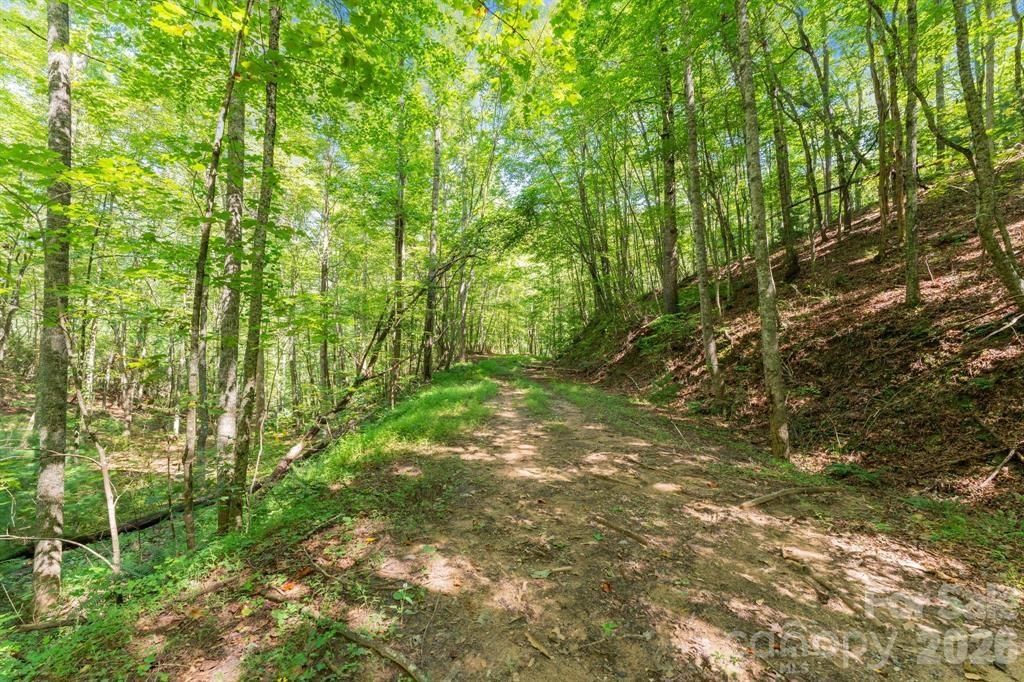 Photo of 0 80 Breezewood Drive, Bryson City, NC 28713 (MLS # 26044216)