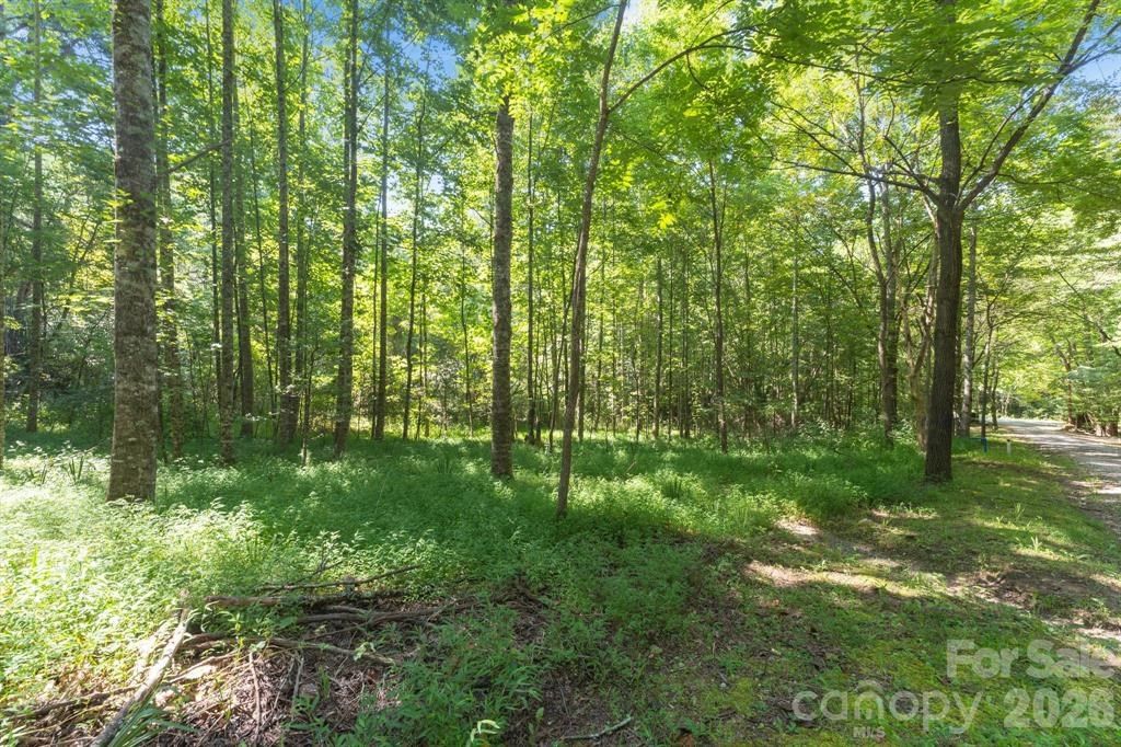 Photo of 0 80 Breezewood Drive, Bryson City, NC 28713 (MLS # 26044216)