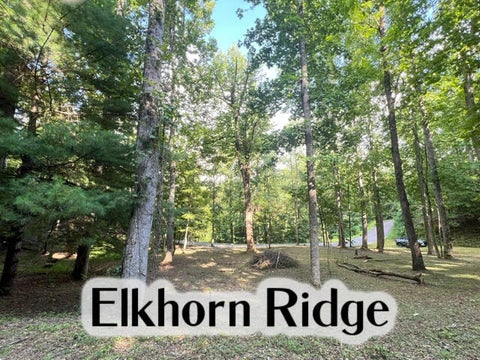 Photo of 1153 Elkhorn Ridge Dr, Franklin, NC 28734 (MLS # 26048345)