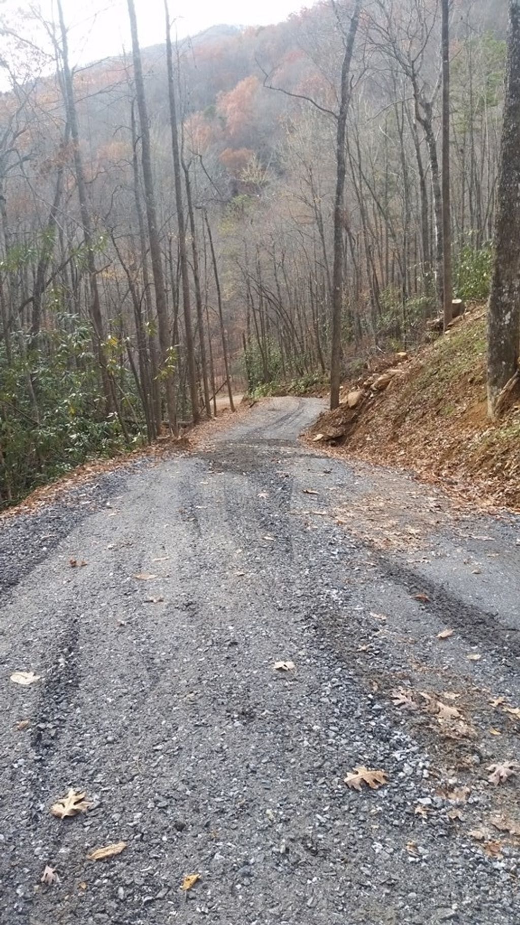 Photo of Whittier, NC 28729 (MLS # 26046686)