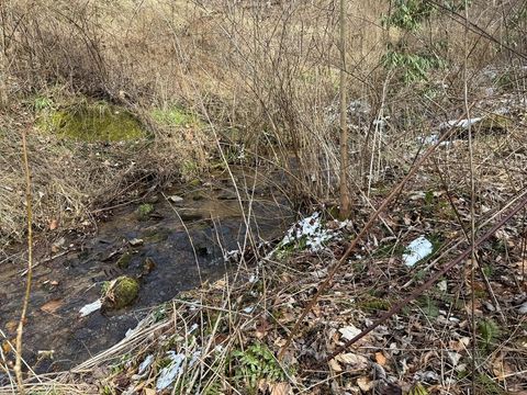 Photo of Lot 38 Brush Creek Mountain, Bryson City, NC 28713 (MLS # 26045466)