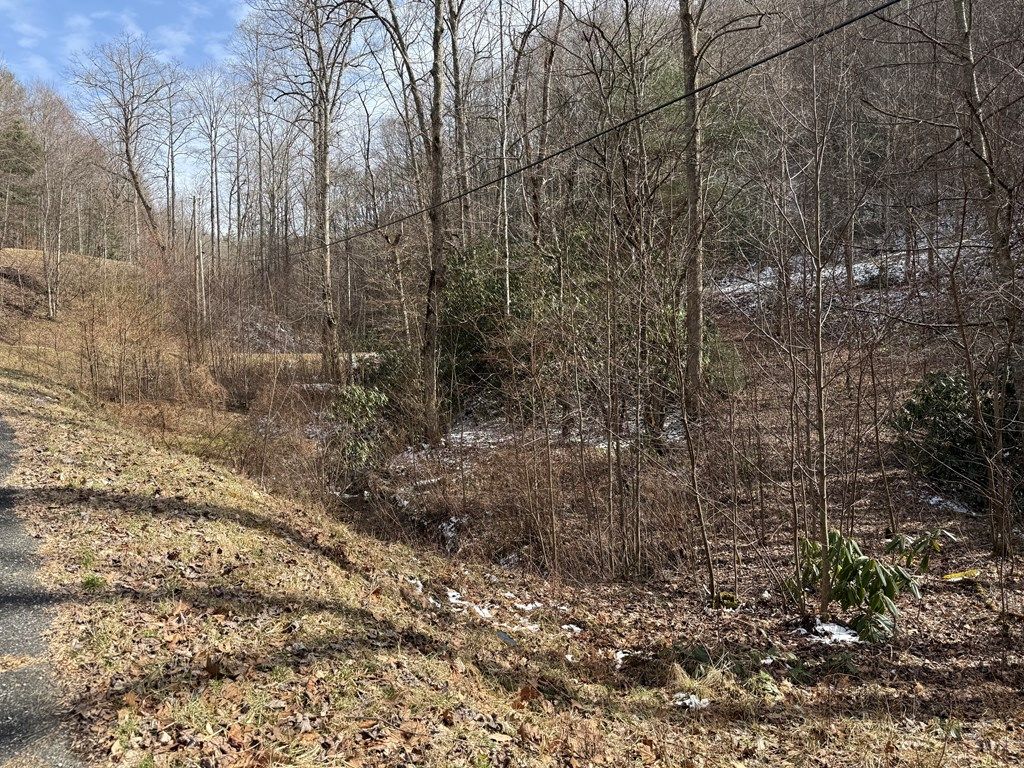 Photo of Lot 38 Brush Creek Mountain, Bryson City, NC 28713 (MLS # 26045466)