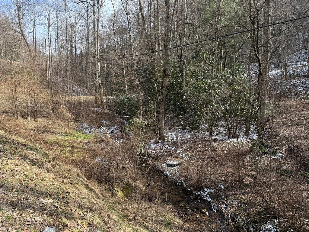 Photo of Lot 38 Brush Creek Mountain, Bryson City, NC 28713 (MLS # 26045466)