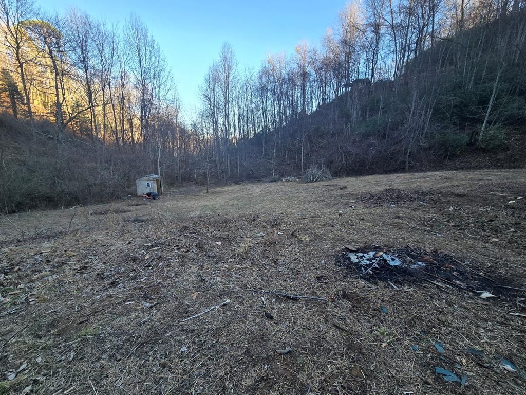 Photo of 321 Mount Keys Dr, Bryson City, NC 28713 (MLS # 26043210)