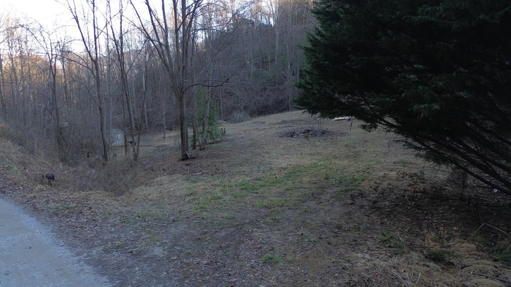 Photo of 321 Mount Keys Dr, Bryson City, NC 28713 (MLS # 26043210)